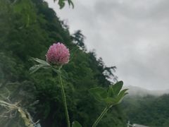 -硗碛藏寨·神木垒景区