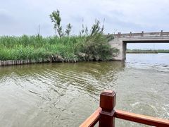 -宁波杭州湾国家湿地公园