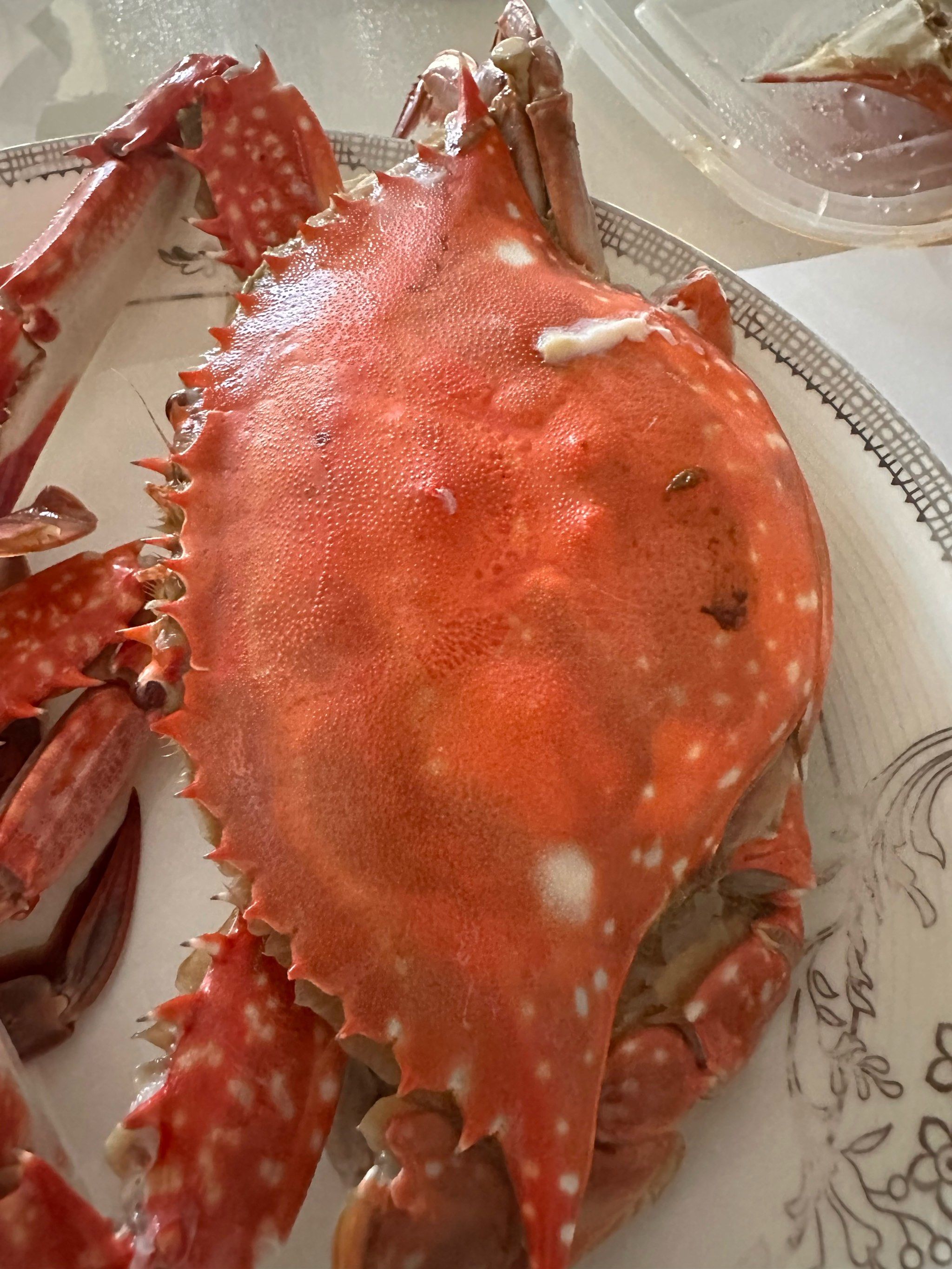 大螃蟹的魅力诱惑