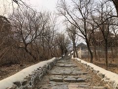 -阳台山自然风景区