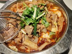 -古乐牛香·鲜牛肉牛杂火锅(千灯店)