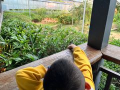 -无锡动物园·太湖欢乐园