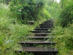 -新江湾城公园