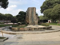 -昆山城市生态森林公园