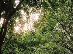 -硗碛藏寨·神木垒景区