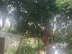 -大妙火锅·非物质文化遗产(东湖公园店)