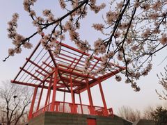 -大望京公园