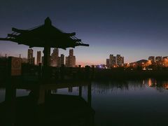 -前关湿地公园