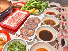 -董记老清泉·鲜切涮羊肉(窑岭店)