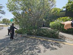 -蓝楹湾度假酒店