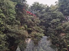 -富正毅三下锅·湘西韵味(天门山索道店)