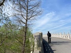 -广富林郊野公园