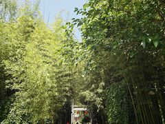 -竹泉村旅游度假区