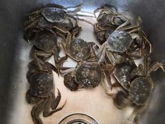 -重振华中蔬菜批发市场(重庆中路店)