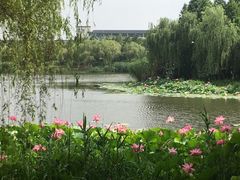 -江南大学(蠡湖校区)