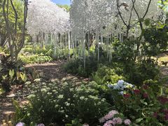 -上海鲜花港