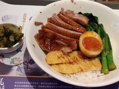 金奖卤鹅肉饭-陈鹏鹏潮汕菜(宝安机场T3航站楼店)