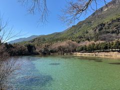 -玉湖村