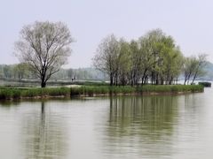 -野鸭湖国家湿地公园