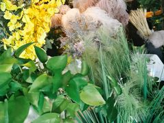 -LYFATTI 莱芙缇(赣水路店)