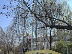 -张店儿童公园