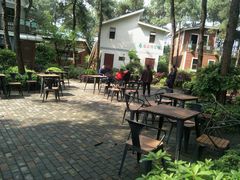 -铁山坪森林公园