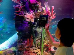 -沈阳海洋探索中心