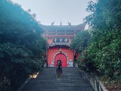 -铁山坪森林公园