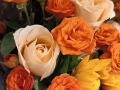 -郑远元专业修脚房(国顺东路店)