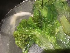 -同仁四季椰子鸡(海岸城天利店)