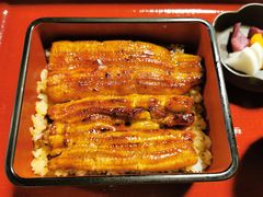 -料亭菊水楼