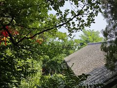 -蓬莱阁景区
