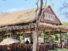 -广东花都香草世界旅游度假区