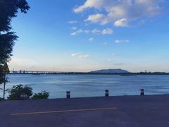 -八仔大富楼·河鲜(西江店)