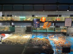 水产区-徐记海鲜(南油永新汇店)