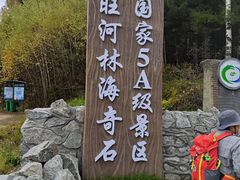 -汤旺河林海奇石景区