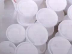 -洪馨椰子