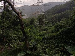 -梧桐山风景名胜区