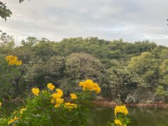 -广州莲花山旅游区