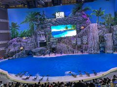 -珠海长隆海洋王国