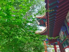 -北京中医药大学东方医院(方庄院区)