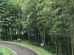 -望江楼公园