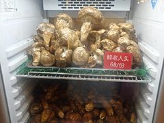 -太婆天府山珍酒楼(亚运村店)