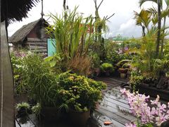 -自然餐厅(Phuket)