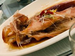 -青岛李沧绿城喜来登酒店·宴会厅
