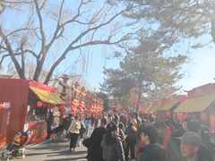 -大明幻境第一城