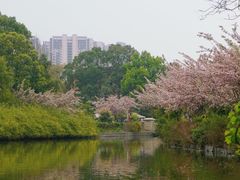 -成都南湖公园