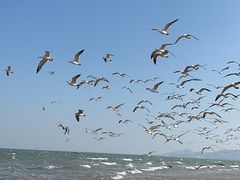 -那香海钻石沙滩浴场