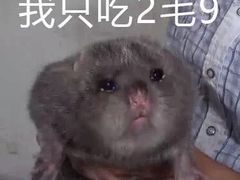 -文三里屯面馆(三里屯店)
