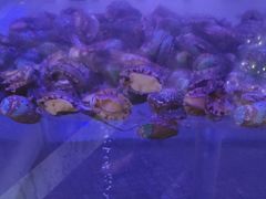 -小天鹅戴斯酒店鲸鲨百汇创作料理